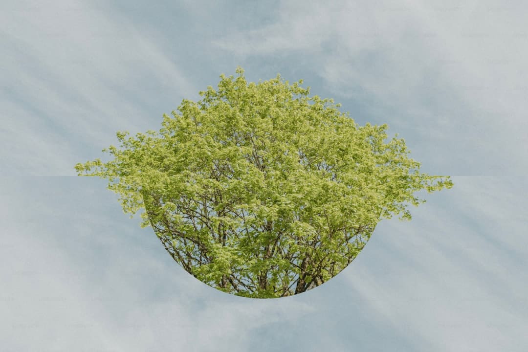 http://n.sinaimg.cn/news/1_img/cfp/2b0c102b/w1024h701/20180315/HUgb-fyscsmv8852859.jpg?zdy